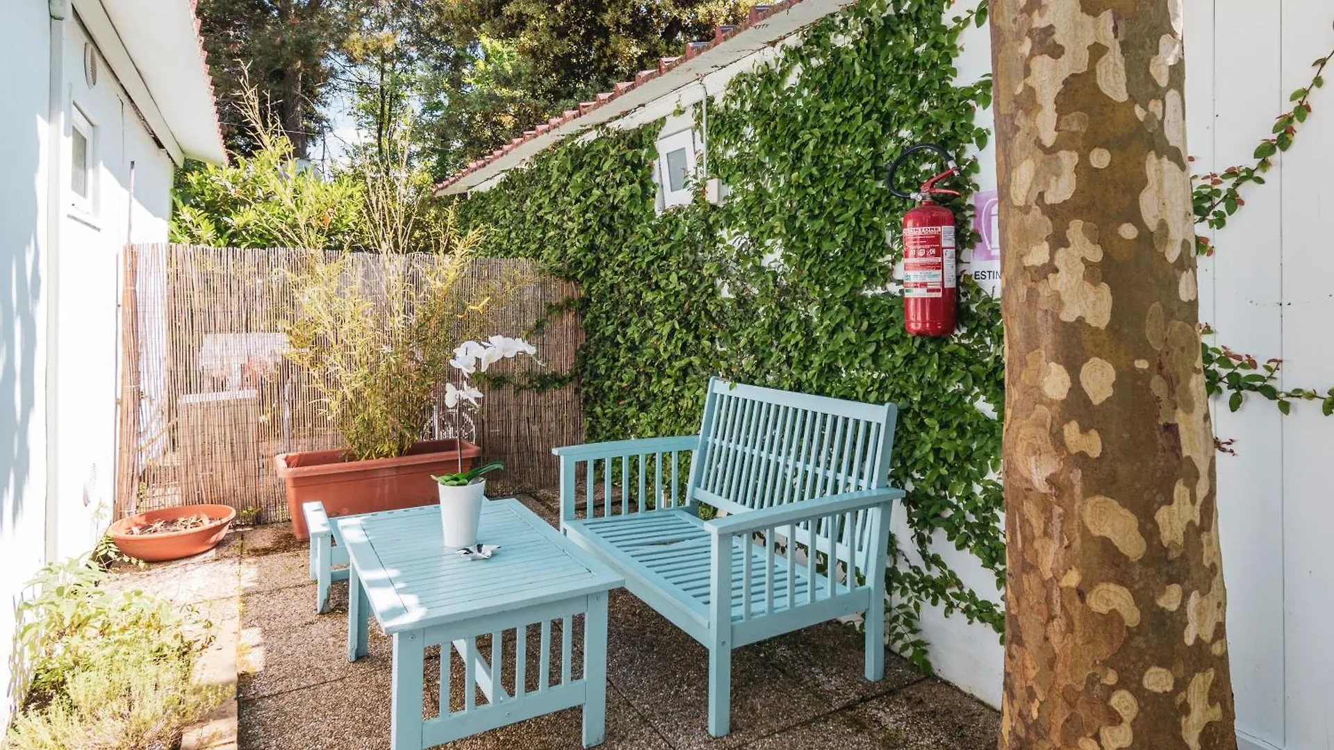 Campsite Campeggio Souvenir Marina di Massa Italy